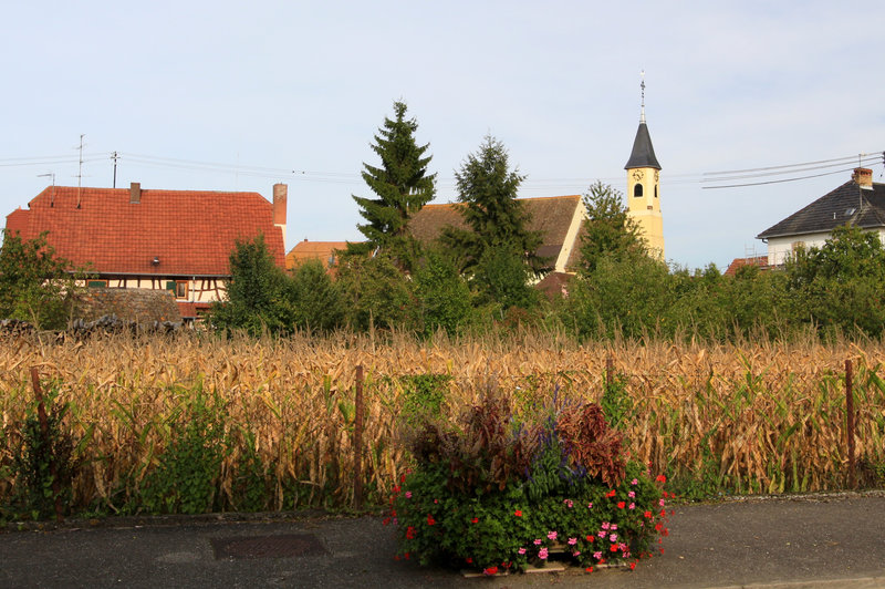 Schoenau (1)