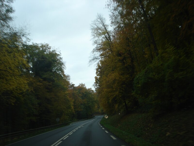 DSC08767