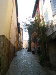 Pic_de_Sailfort_Collioure_087