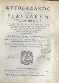 Colonna2
