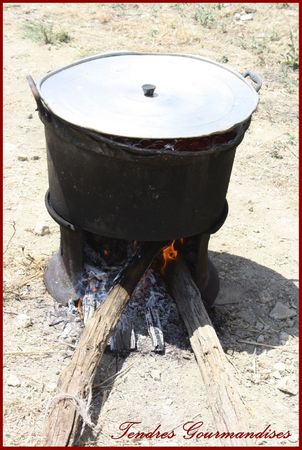 Sauce tomate cerise maison recettes Sauce tomate cerise maison