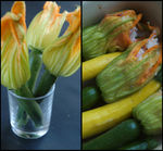 fleurs_de_courgettes_farcies