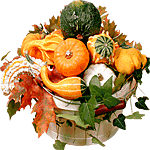 panier potirons et courges