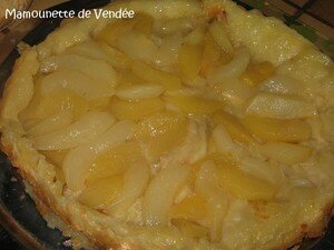 Tatin_pommes_poires_011