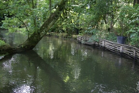 42-Jardin d'eau de Monet