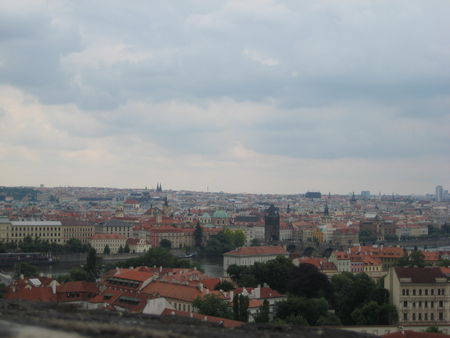 Photo_65965