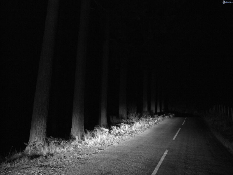 route-par-la-foret,-foret-pendant-la-nuit,-noir-et-blanc-197807