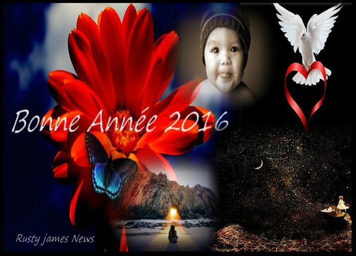 bonnes annee 2016