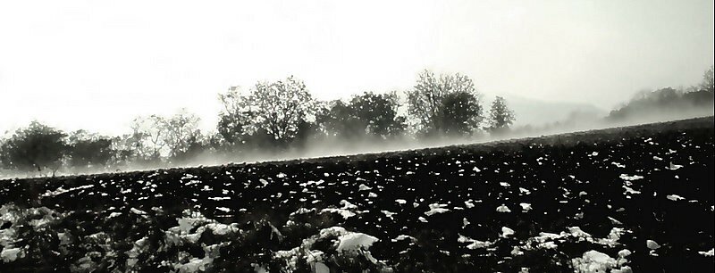 langue de nuage