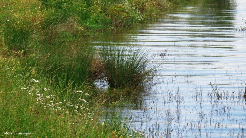 Lac Puydarrieux 14061635