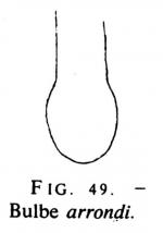 Joss p 195 fig 49