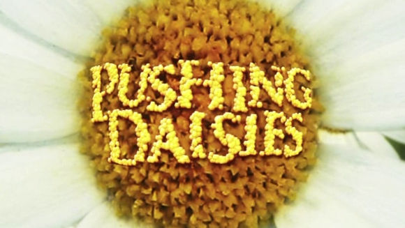 Pushing Daisies (saison 2)