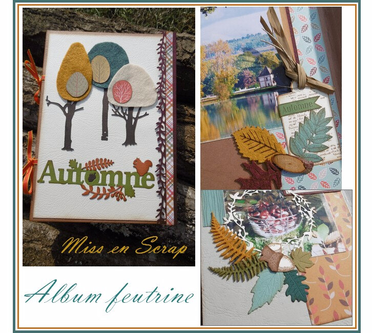 album feutrine