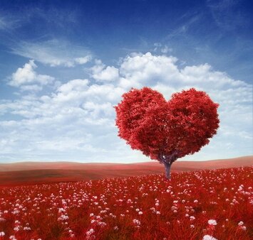 coeur-ame-soeur