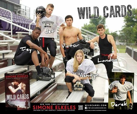 wild cards simone elkeles