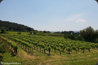 Cotes-du-Rhone-4