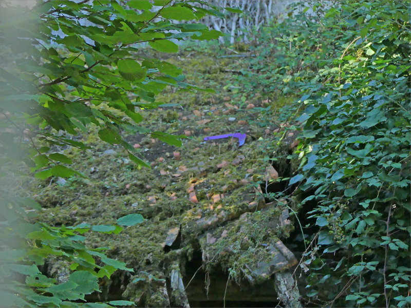 Boomerang perdu 120722 2