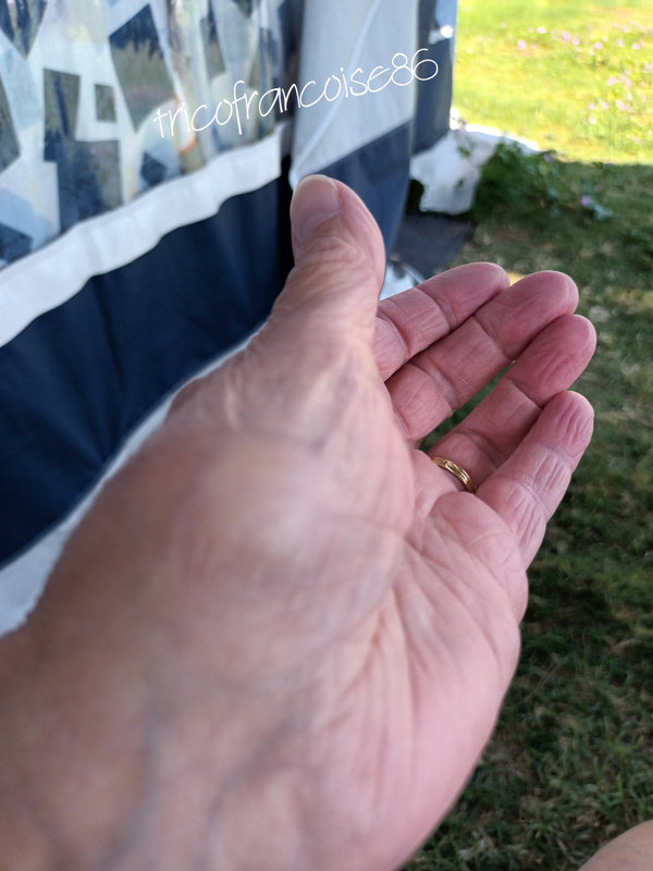 CYMERA_20230826_115616