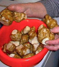 creme de topinambour recettes Mousseline de topinambour *