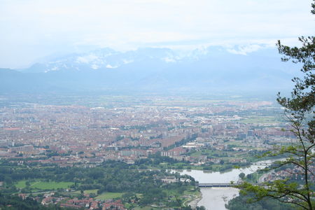 Turin_133