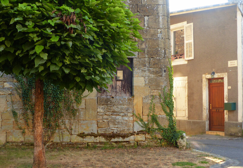 P1550409