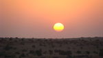 Jour_8__Jaisalmer__retour_du_d_sert__24_