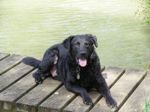 Dohko posant sur le ponton