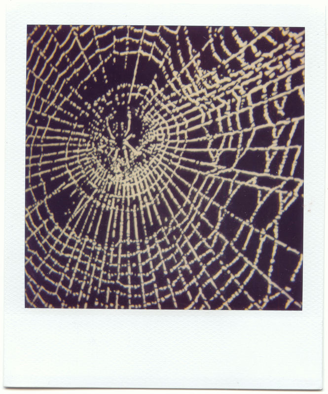 web site22