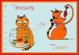 concours_poisson_chat_1