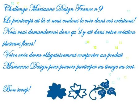 Challenge Marianne Design 9