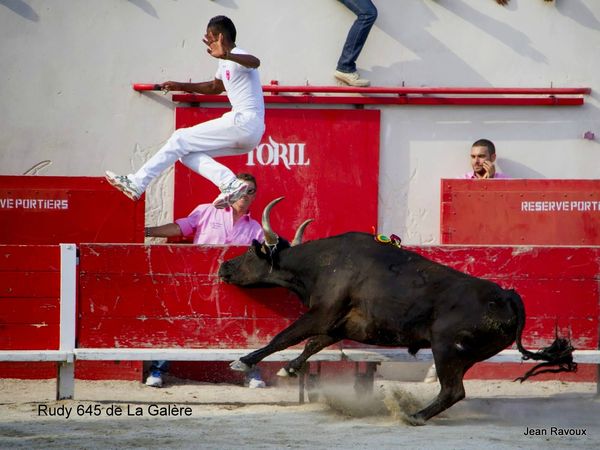 12-avenir a noves le finale20130828006502