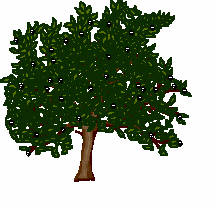 arbre017_1_