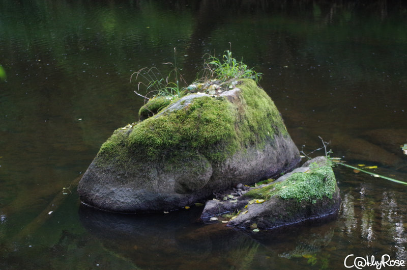 && vallée du Léguer (28)