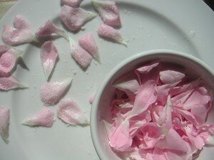 feuilles_de_menthe007