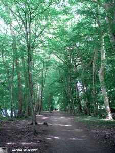 Sentier des Tacrenier