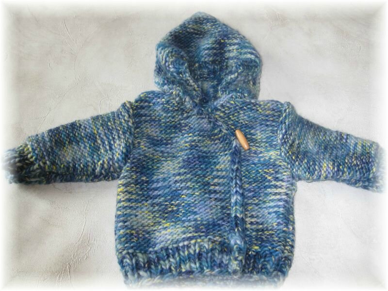 veste à capuche bébé modèle FABRICE taille 3 mois PRIX 25€