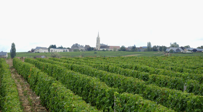 Pouilly-sur-Loire, de Loire en vignes, les vallées, vue sur Saint-Andelain (58)