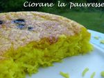 rice-cooker-iranien