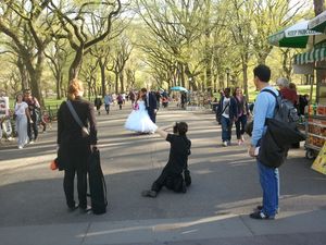 centralpark wedding
