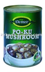 Canned_Shitake_Mushroom_po_ku_mushroom_canned
