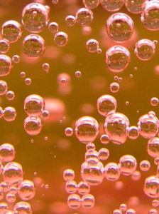 Rose_champagne_infinite_bubbles