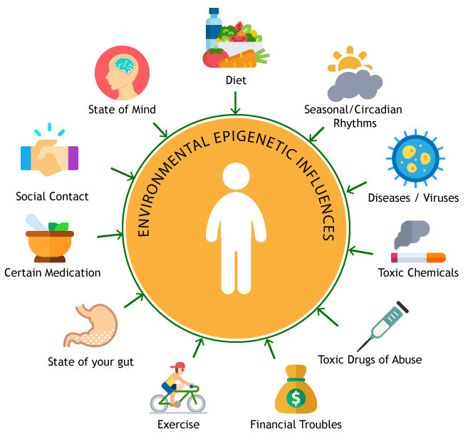 get to know gemma nutrigenetic testing 1