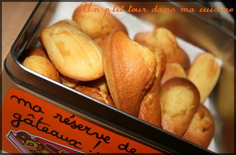 Petites madeleines recettes dessert Madeleines chocolatées