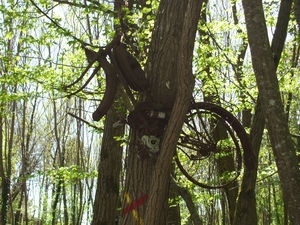 110411_randonn_e