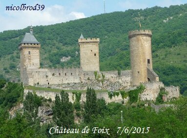 Chateau Foix 265