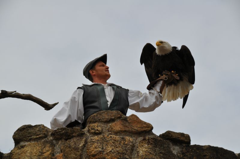 Puy du Fou 2011 - 0176