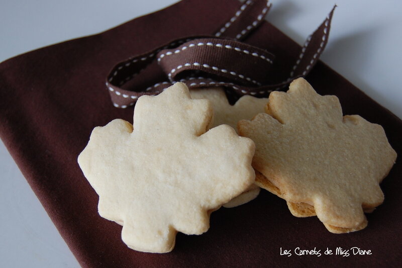 BISCUITS_FEUILLES_D__RABLE_2
