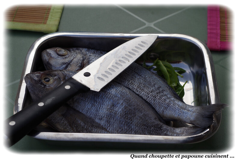 daurades grillées au fenouil-5753