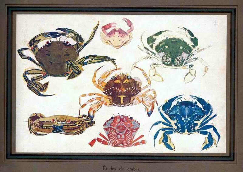 Méheut étude de crabes