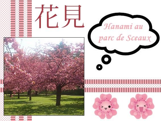 Article_Hanami